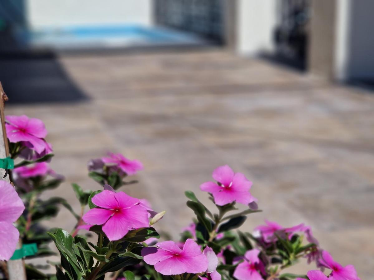 Del Parque Flats Balneario De Pina Villa Malaga Bagian luar foto